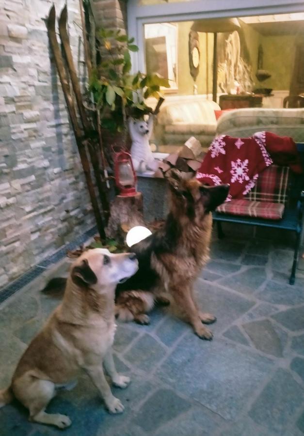 B&B Casa Dell'Orso ルリジア エクステリア 写真