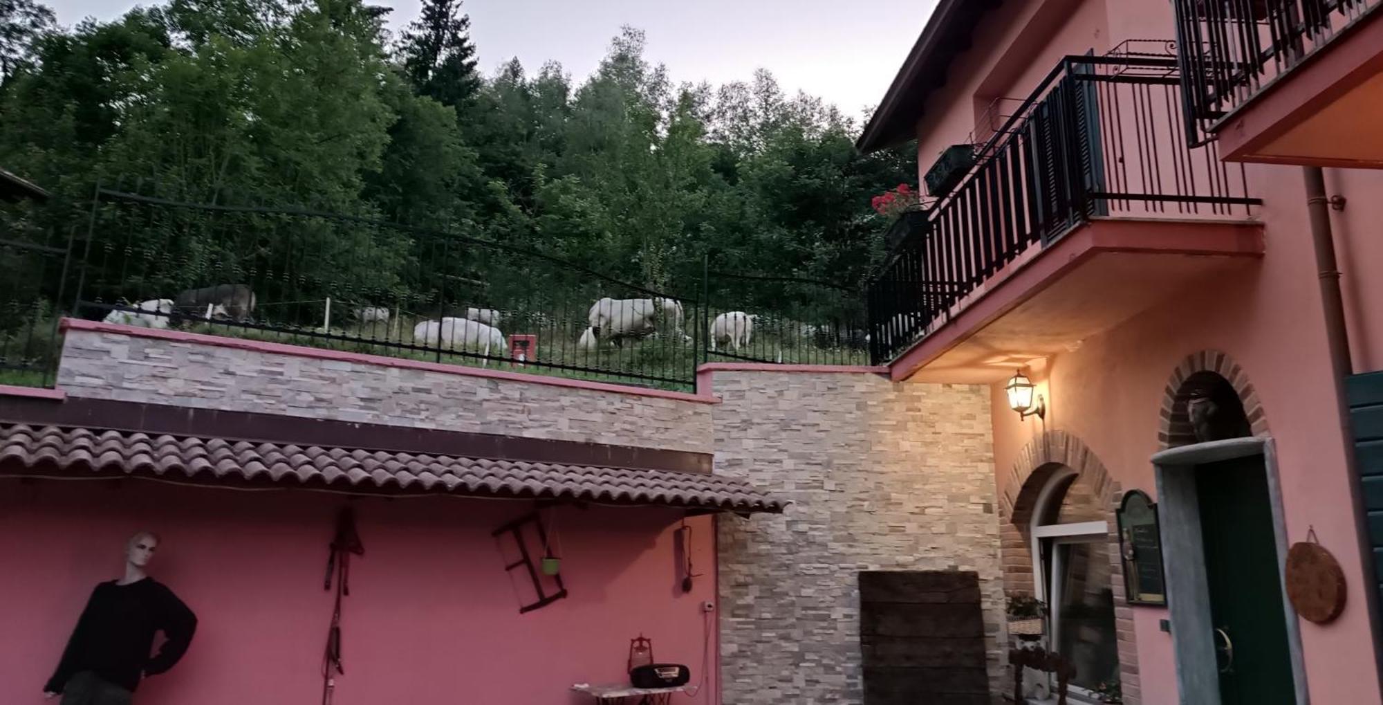 B&B Casa Dell'Orso ルリジア エクステリア 写真